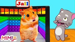  Hamster Maze Hamster Escapes POP IT Prison In Real Life  HAMSTER MIMI