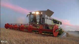 Ernte 2023 Dreschen Claas Lexion 8700 Terra Trac Fendt Vario 724 Krampe Getreideernte für Bier 8900