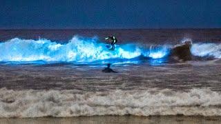 Unbelievable Bioluminescent Beach California