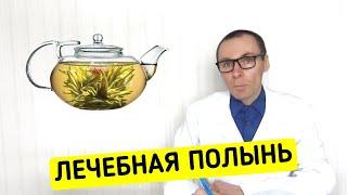 Полынь лечебные свойства и секреты правильного применения