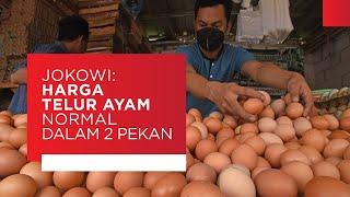 Jokowi Pastikan Harga Telur Ayam Normal dalam 2 Pekan