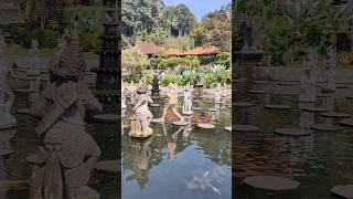 TIRTAGANGGA water palace in BALI with beautiful BIG FISH indah taman air #bali #tirtagangga #fish