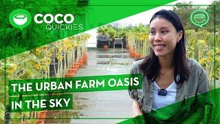 An Urban Farm In Singapore That Focuses On Therapeutic Horticulture  Coconuts TV