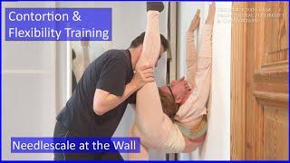 55 Flexyart Contortion Training Using the Wall  - Also for Yoga Pole Ballet Dance People