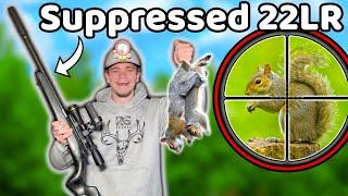 Hunting Squirrels with a Suppressed 22LR EXTREMELY QUIET