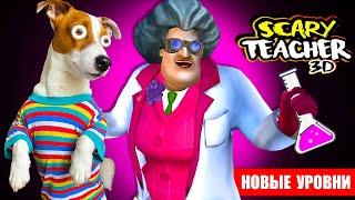 Злая Училка что-то нахимичила  НОВЫЕ ПРАНКИ  Scary Teacher 3d