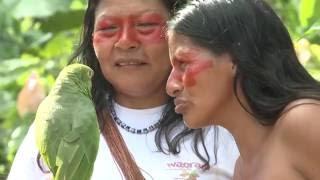 The Waorani Women of the Amazon Ecuador