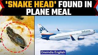 Snake head found in SunExpress flight meal Airline launches investigation  Oneindia News *news