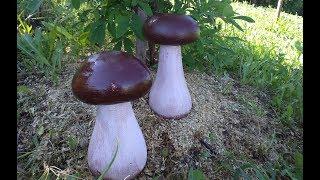 Cement mushrooms  concrete figurine garden crafts how to make a figure of cement