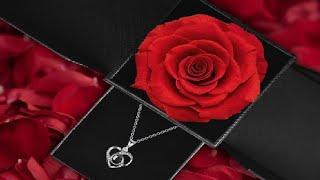 Preserved Red Real Rose with I Love You Necklace in 100 Languages Review Impressive gift boxing but
