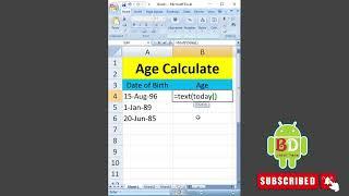 microsoft excel বয়স বের করার নিয়ম ২০২৪