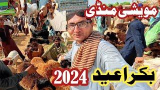 Pakistan Bakra mandi 2024  Maweshi mandi rates 2024 Bakra Eid 2024  Bakra mandi update