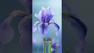 Top 10 countries with their national flower in the world #top #ai #shortvideos #viral #facts