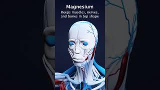 Magnesium Deficiency