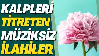 KALPLERİ TİTRETEN MÜZİKSİZ İLAHİLER  EY DÜNYAYA GELEN İNSAN GİDENLERİ GÖRMEZ MİSİN