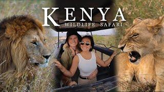 Our LION SAFARI ENCOUNTER The BEST Wildlife Safari in Africa Masai Mara Kenya