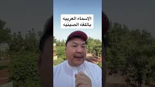 الأسماء العربيه بالصينية #اكسبلور