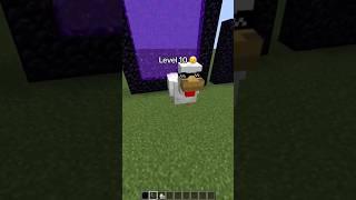 Portal chicken END moment  #shots #minecraft