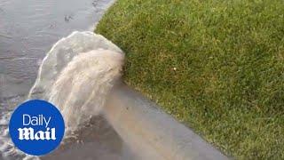 Water bubbles in the ground are satisfyingly popped - Daily Mail