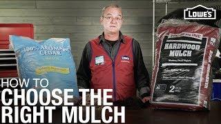 How To Choose the Right Mulch  Mulch Buying Guide