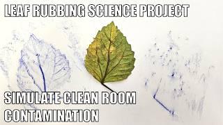 Simulate Clean Room Contamination with Crayon Leaf Rubbings  Science Project