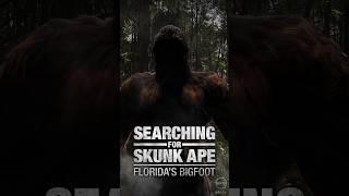 Searching for Skunk Ape - Florida’s Bigfoot #bigfoot #documentary