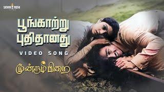 பூங்காற்று HD Video Song Poongaatru  Moondram Pirai  Kamal Haasan  SriDevi  Ilaiyaraaja