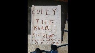 Lolly The Polar Bear