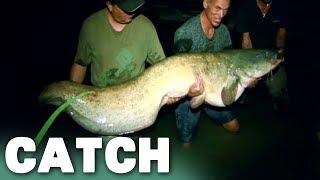 147 Pound Monster A Wels Catfish  River Monsters