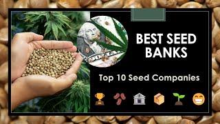 Top 10 Best Seed Banks Buy Seeds Online