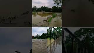 বন্যা। #gramexplorer#bonna#flood#bangladesh#gram