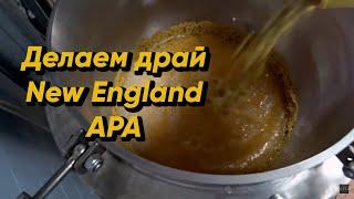 Сухое охмеление New England APA  Делаем драй Нью Ингланд APA  Стратегия 21