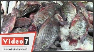 شاهد أسعار الأسماك بالأسواق المصرية..وبائعالبلطى زاد 2 جنيه