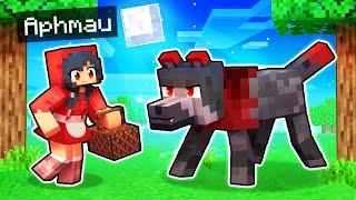 Aphmau Tricks The ALPHA WOLF In Minecraft