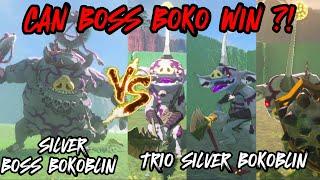 SILVER BOSS BOKOBLIN VS TRIO SILVER BOKOBLIN  The Legend of Zelda Tears of the Kingdom