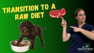 How To Transition Your Dog & Cat To A Raw Food Diet - Dr. Katie Woodley  Holistic Veterinarian