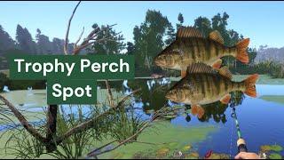 Perch Trophy spot  Russian Fishing 4  RF4  Anniversary Challenge