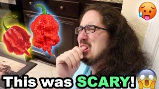 THEY ATE THE WORLDS HOTTEST PEPPER TWICE