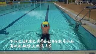 五分钟自学游泳，蛙泳从零基础到完全学会，不用教练也能学习游泳