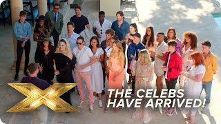 The Celebs Arrive to Face the Music  X Factor Celebrity