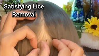 ASMR  Most Satisfying Lice Removal and Scalp CheckScratching lice pick parting  No Talking