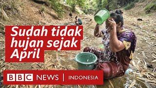 Kekeringan ekstrem di Jawa Tengah Menggali tanah demi mendapat air bersih - BBC News Indonesia