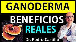  GANODERMA LUCIDUM HONGO REISHI  ¿PARA QUÉ SIRVE y para qué NO? ¡La VERDAD Dr PEDRO CASTILLO