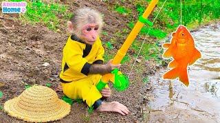  BiBi Live 247  Monkey Baby BiBi Goes fishing and plays with Ducklings and Puppies