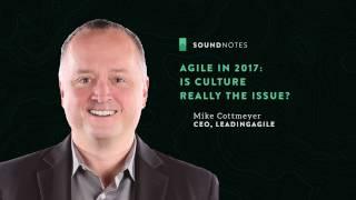 Agile in 2017  Is Culture Really The Issue with Mike Cottmeyer - LeadingAgile SoundNotes