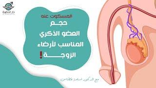 حجم العضو الذكري المناسب لإرضاء الزوجة  المسكوت عنه  الدكتور أسامة غطاس