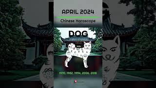 DOG CHINESE HOROSCOPE APRIL 2024  Monthly Astrology Prediction