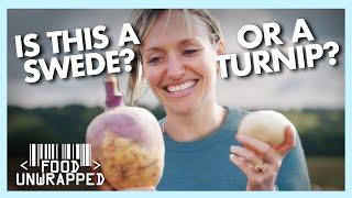 Why Does Nobody Know the Difference Between Swedes and Turnips?  Food Unwrapped