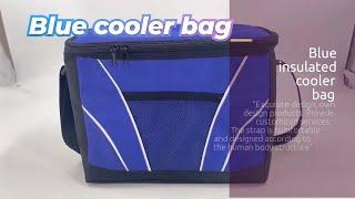 who is the best supplier of cooler bag?