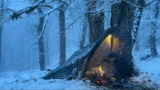 Can I survive 4 days in the winter forest?Camping in heavy snow building a shelter